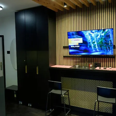 Apartment Dorcol Downtown *